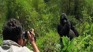 10 Days Rwanda Safari