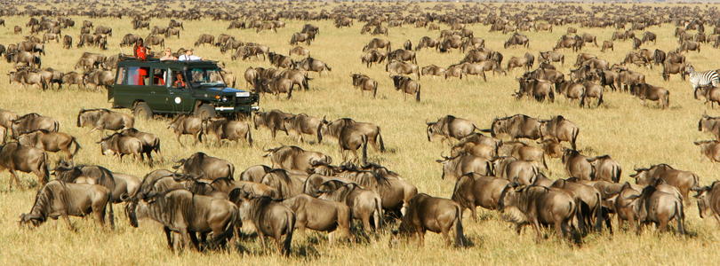 27 days East Arica safari