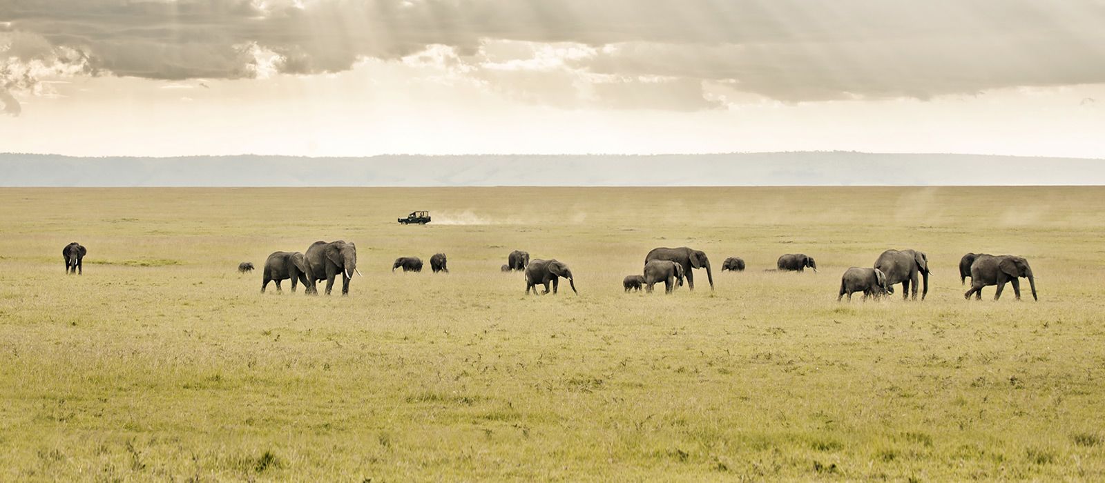 Uganda game viewing tours