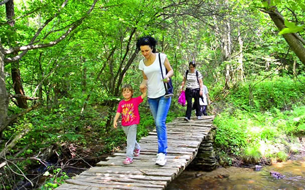 Travel Advice for beginners