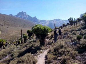 5 Days Mt Kenya Hiking Safari