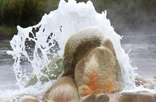 Semliki national park