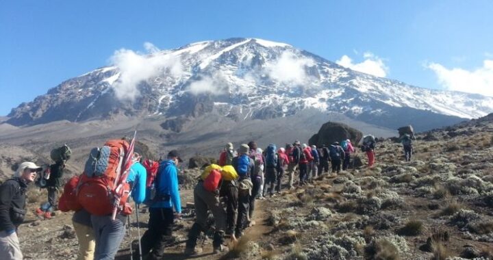 kilimanjaro national park