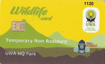 How to cost a gorilla tour